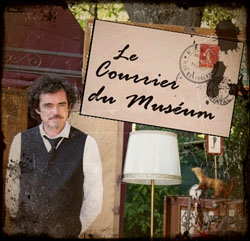 Museum 